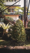 A landscaped garden area featuring a well-manicured bush with red flowers, a potted plant in a metal container, and several large stones. In the background, there is a small white house with a dark roof, partially obscured by trees and large beams. Sunlight filters through the foliage, casting dappled shadows on the ground.