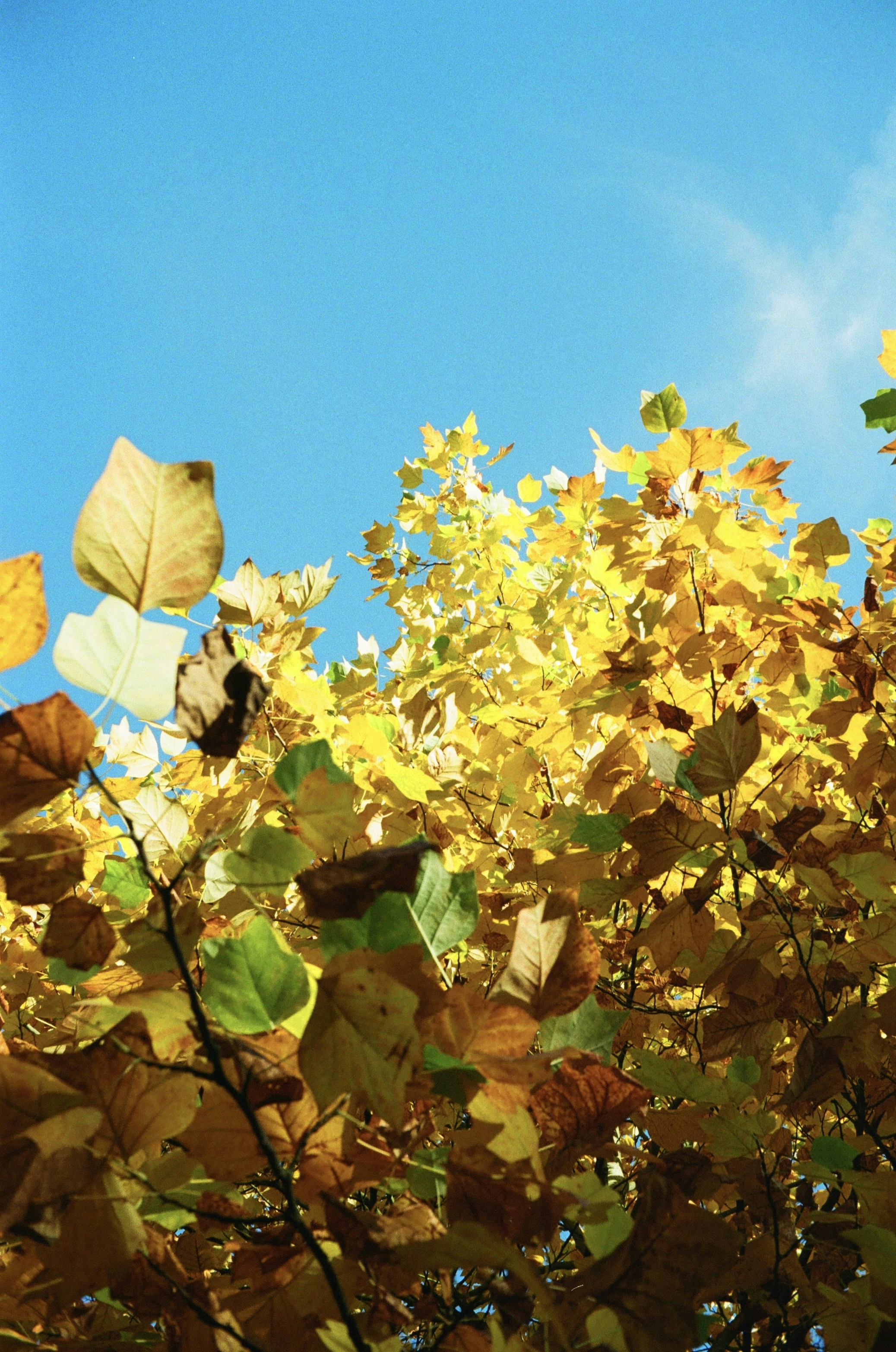 Photo by takatomi