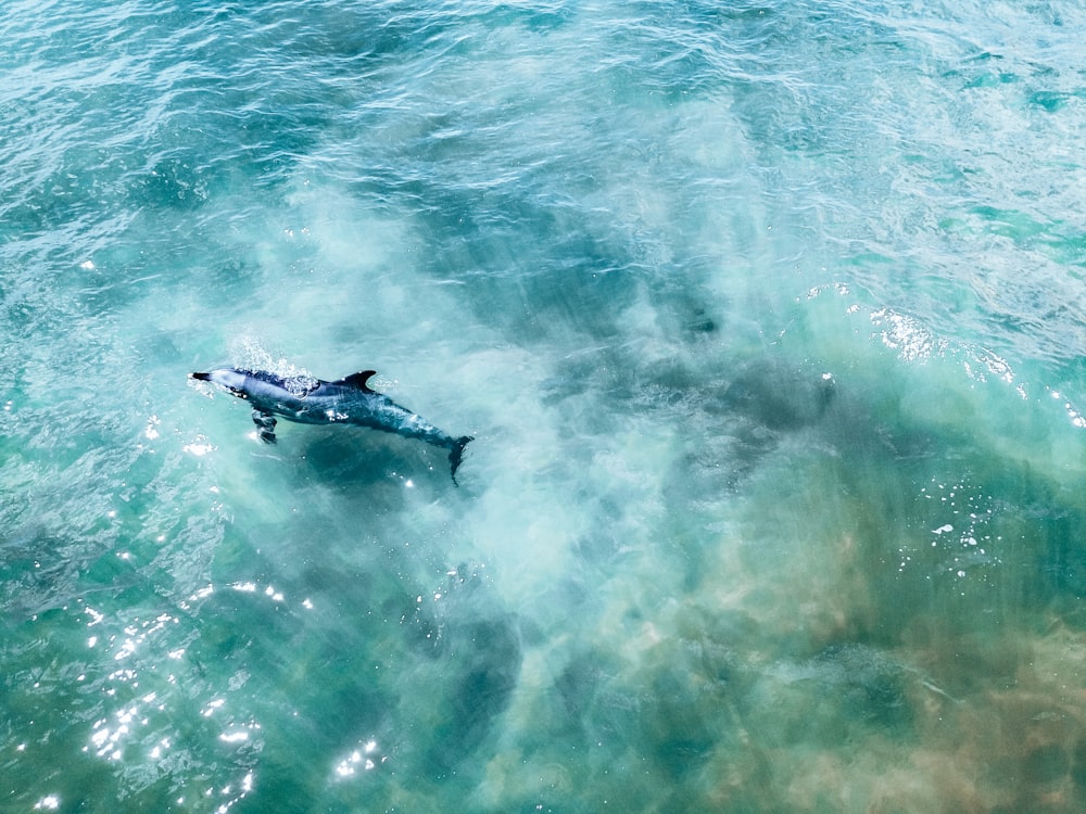 an aerial view of a kayak in the ocean