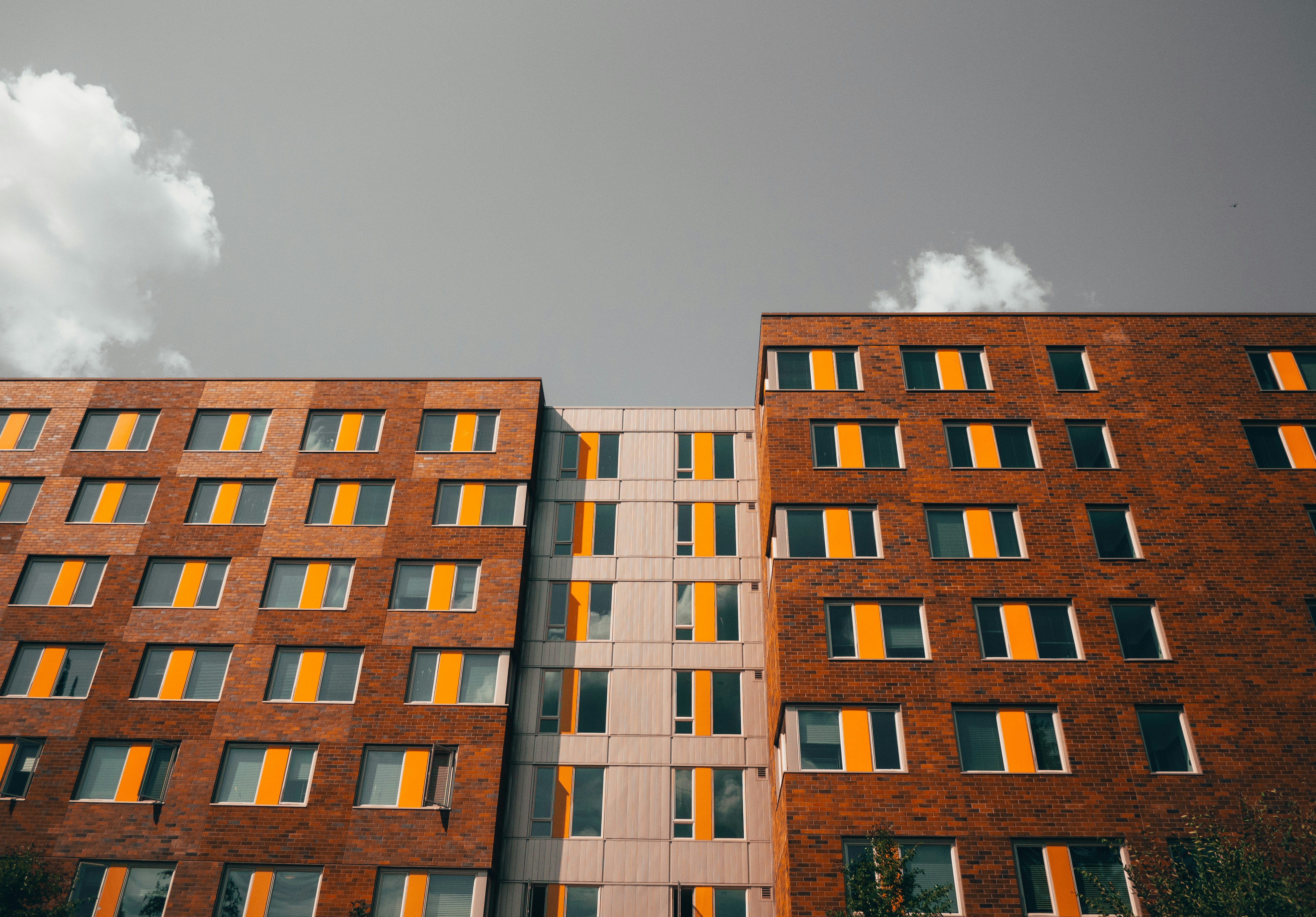 Photo by kingkonggeorge