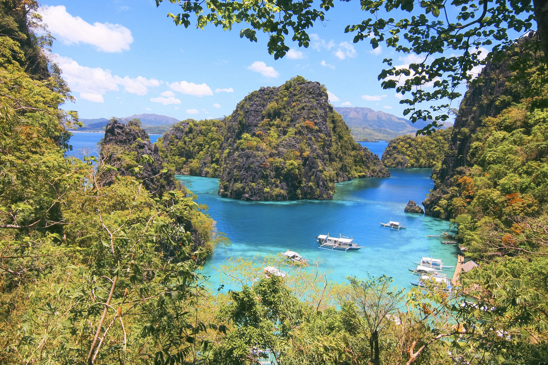 a group of boats floating on top of a lake surrounded by trees
