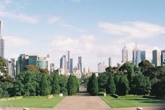 a view of a city from a park