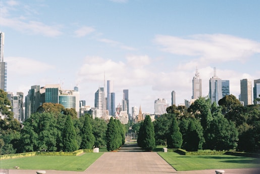 a view of a city from a park
