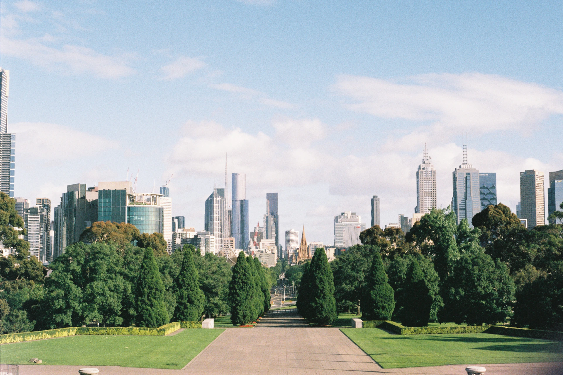 a view of a city from a park