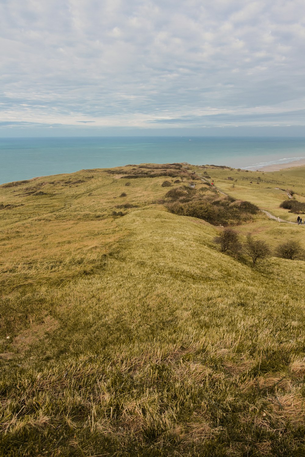 a grassy hill with a body of water in the distance