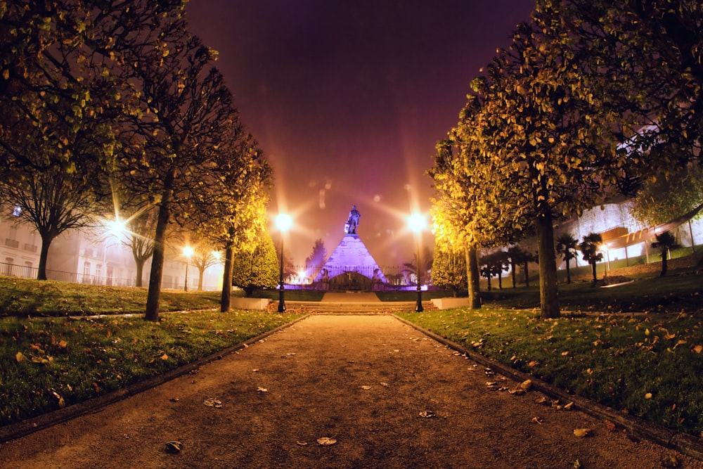 a walkway in the middle of a park at night