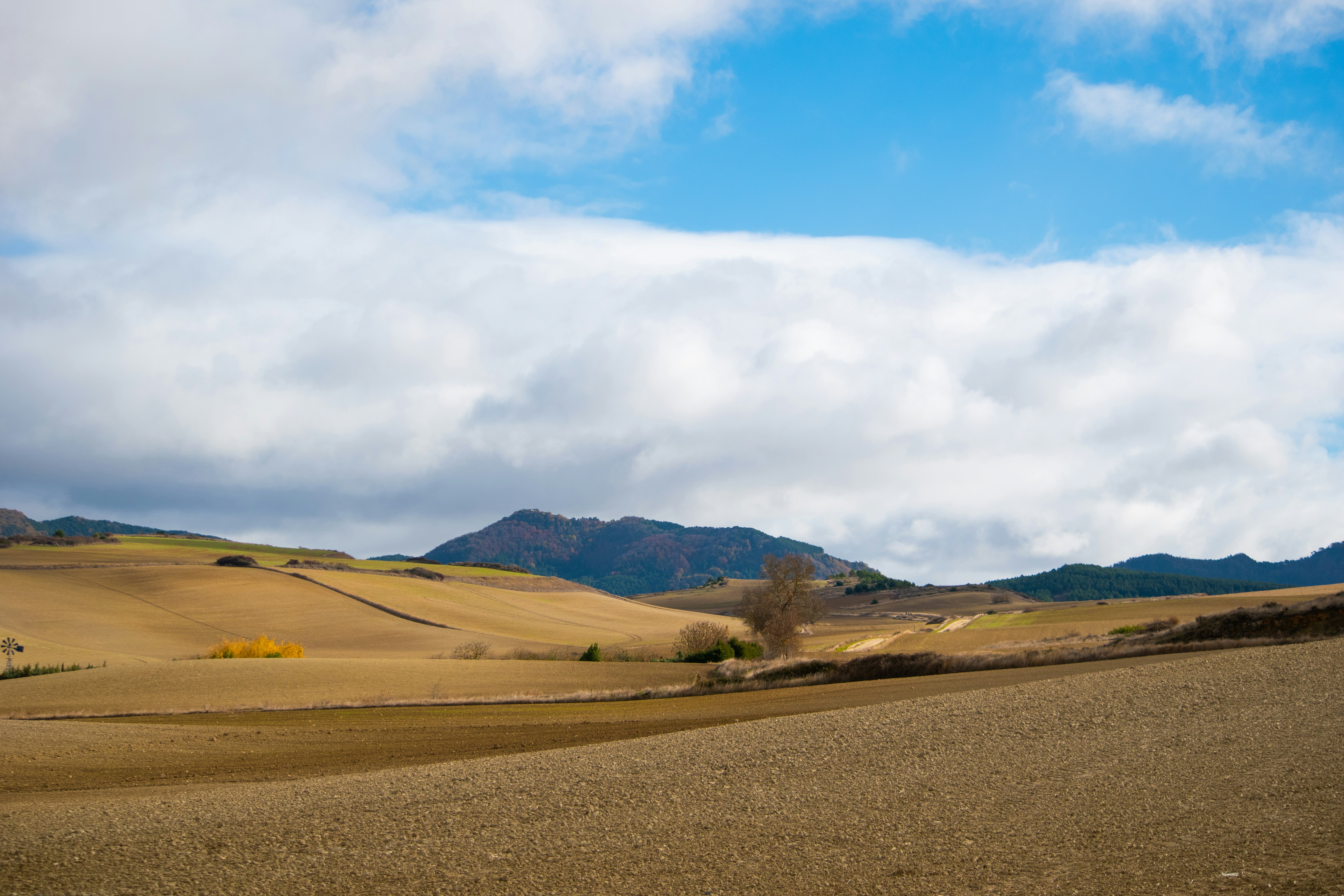 Photo by olgabrajnovic