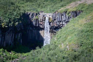 a very tall waterfall in the middle of a lush green forest