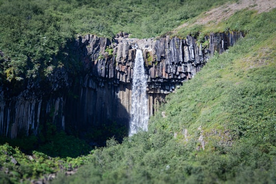 a very tall waterfall in the middle of a lush green forest