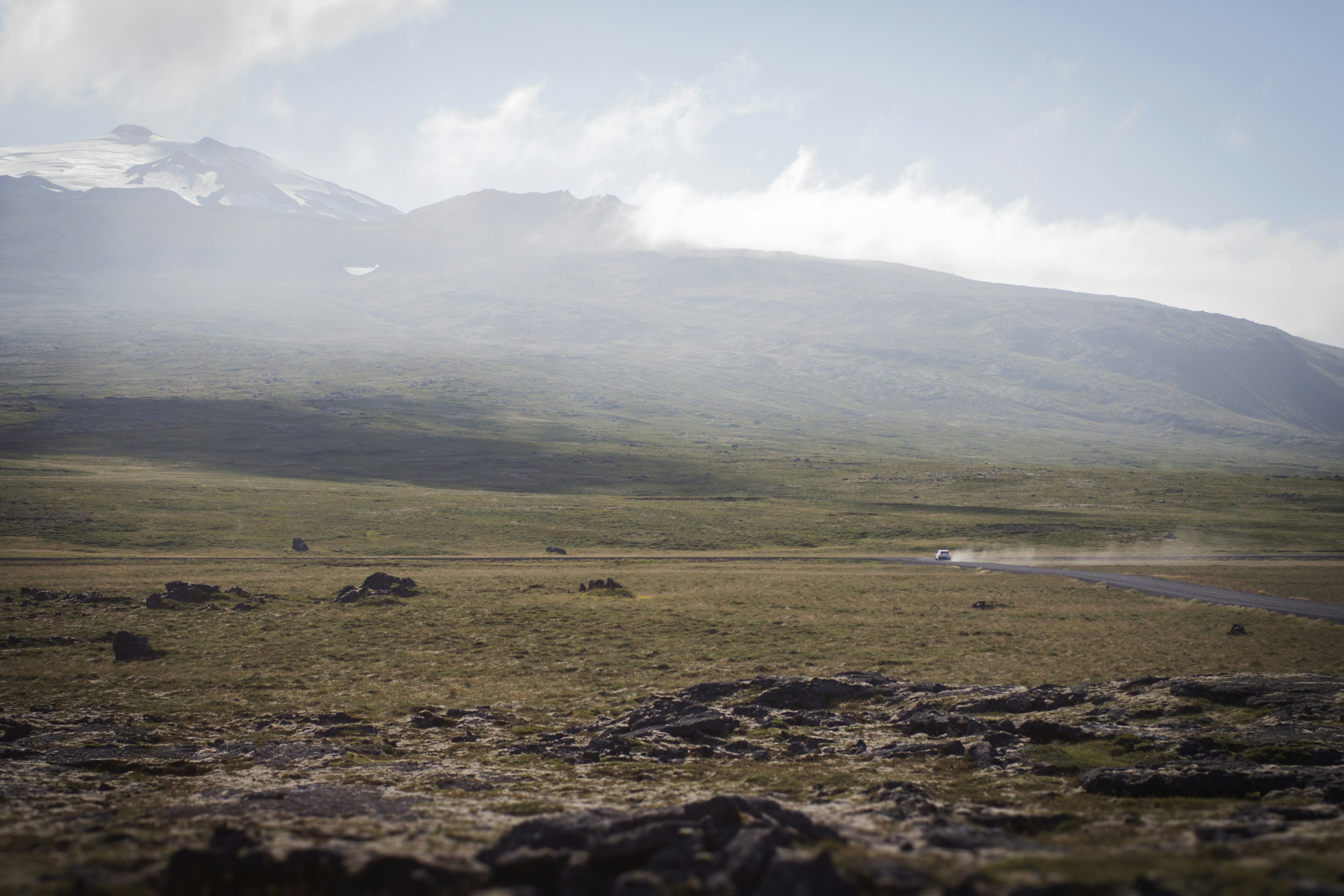 a large grassy field with a mountain in the background