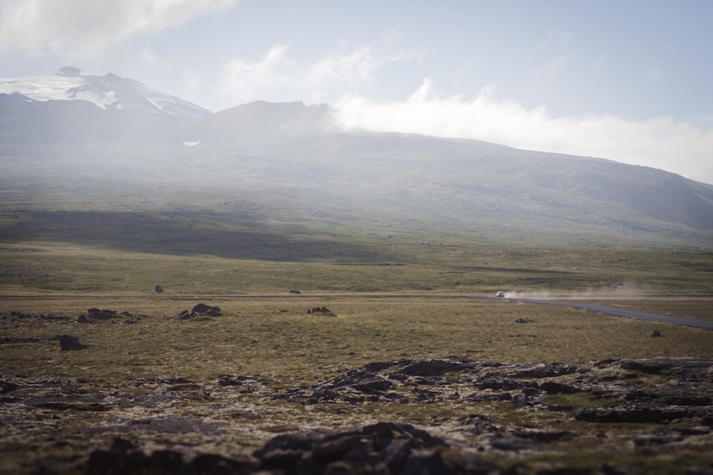 a large grassy field with a mountain in the background