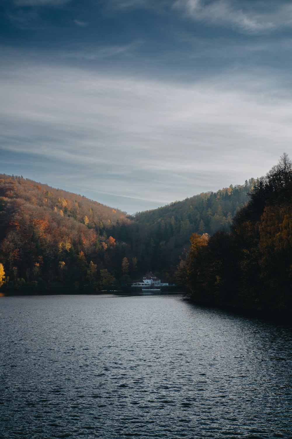 a large body of water surrounded by trees