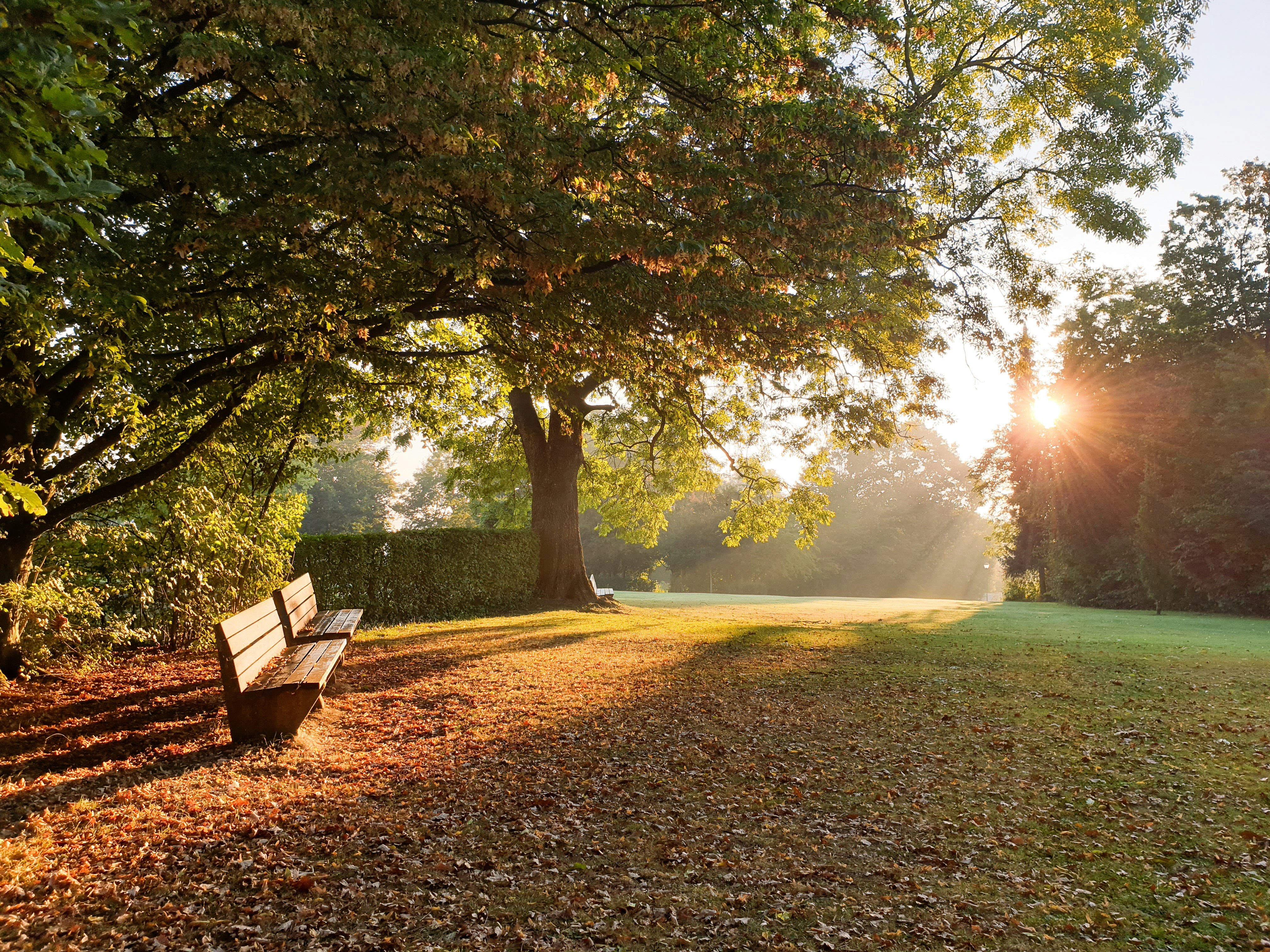 Photo by muenningmedia