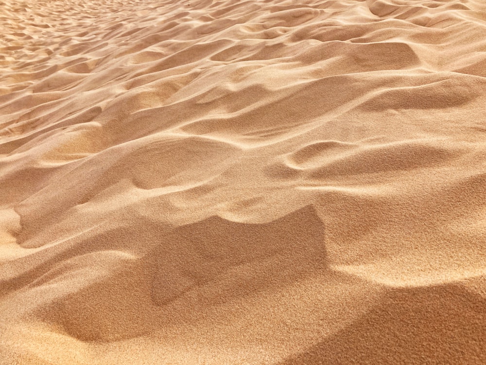 a sandy beach covered in lots of sand