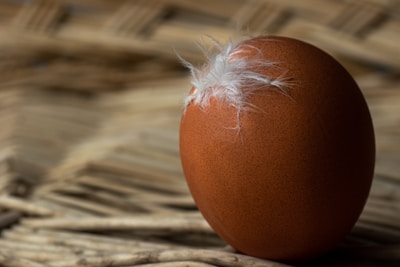 A brown egg adorned with small white feathers is set against a textured, woven background. The lighting emphasizes the smooth surface of the egg and creates a warm ambiance.