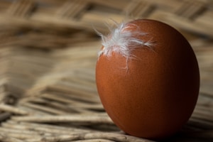 A brown egg adorned with small white feathers is set against a textured, woven background. The lighting emphasizes the smooth surface of the egg and creates a warm ambiance.
