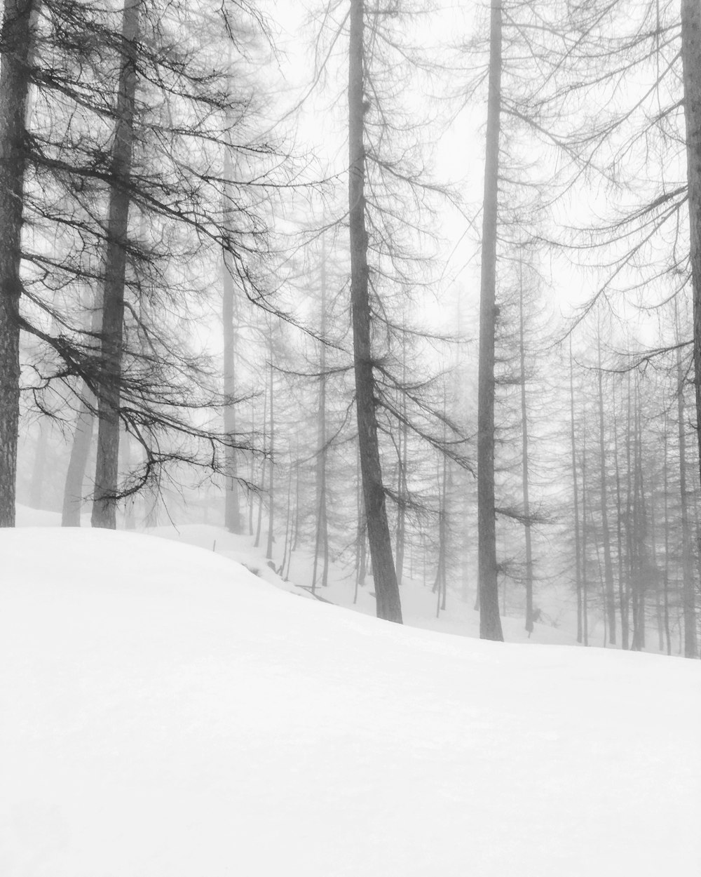 a person riding a snowboard down a snow covered slope