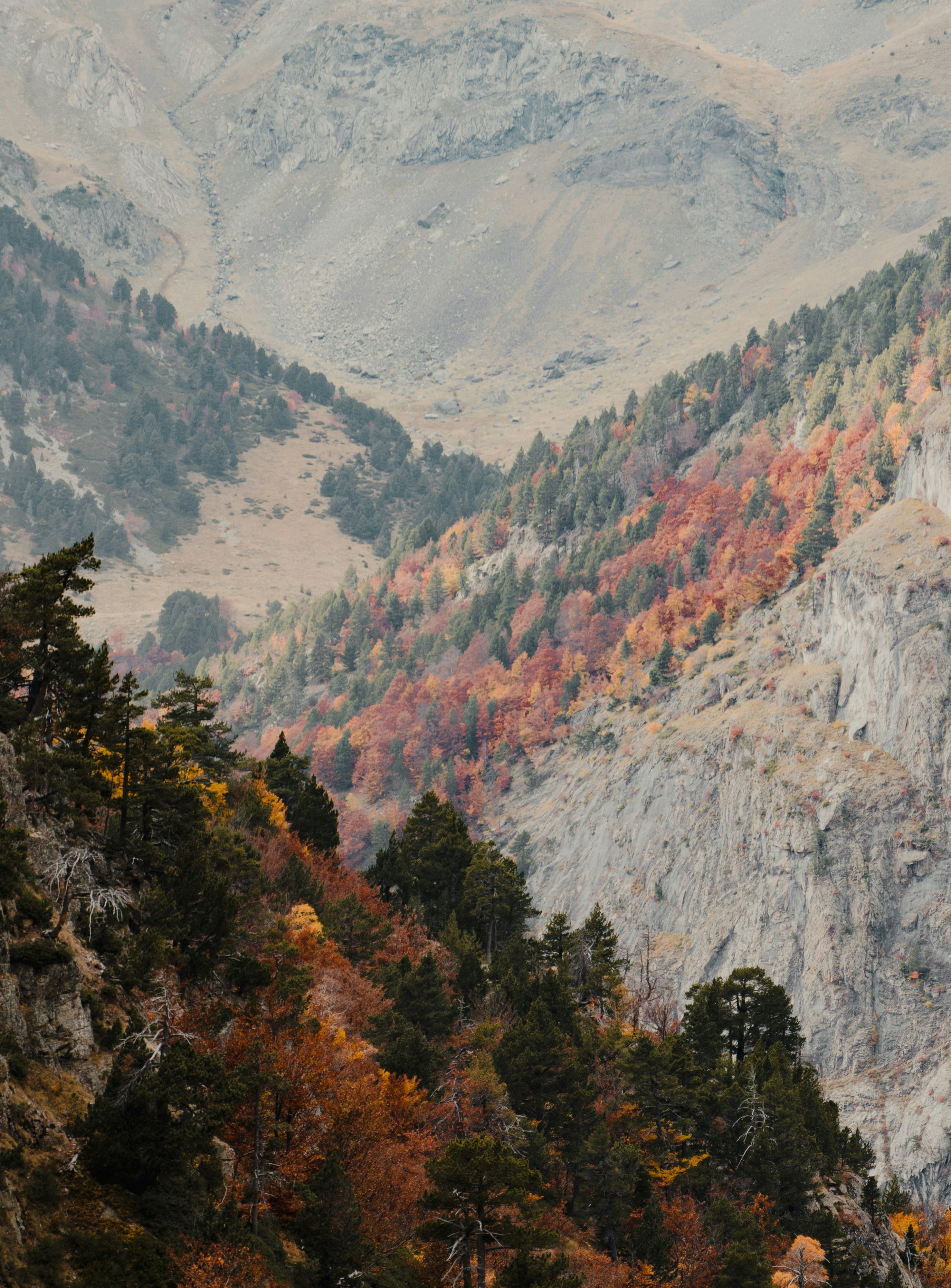 Photo by michielannaert