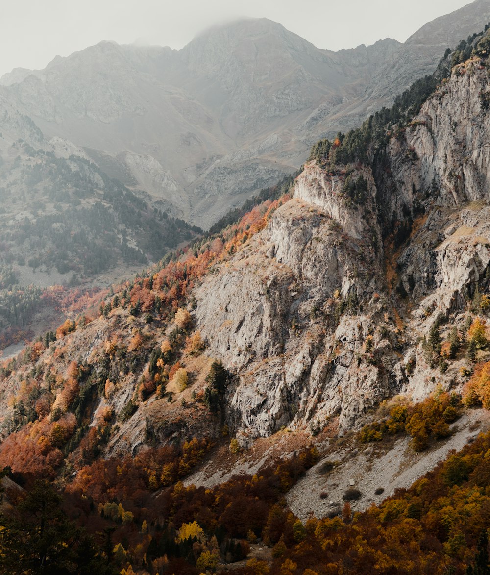 a view of a mountain range with trees in the foreground