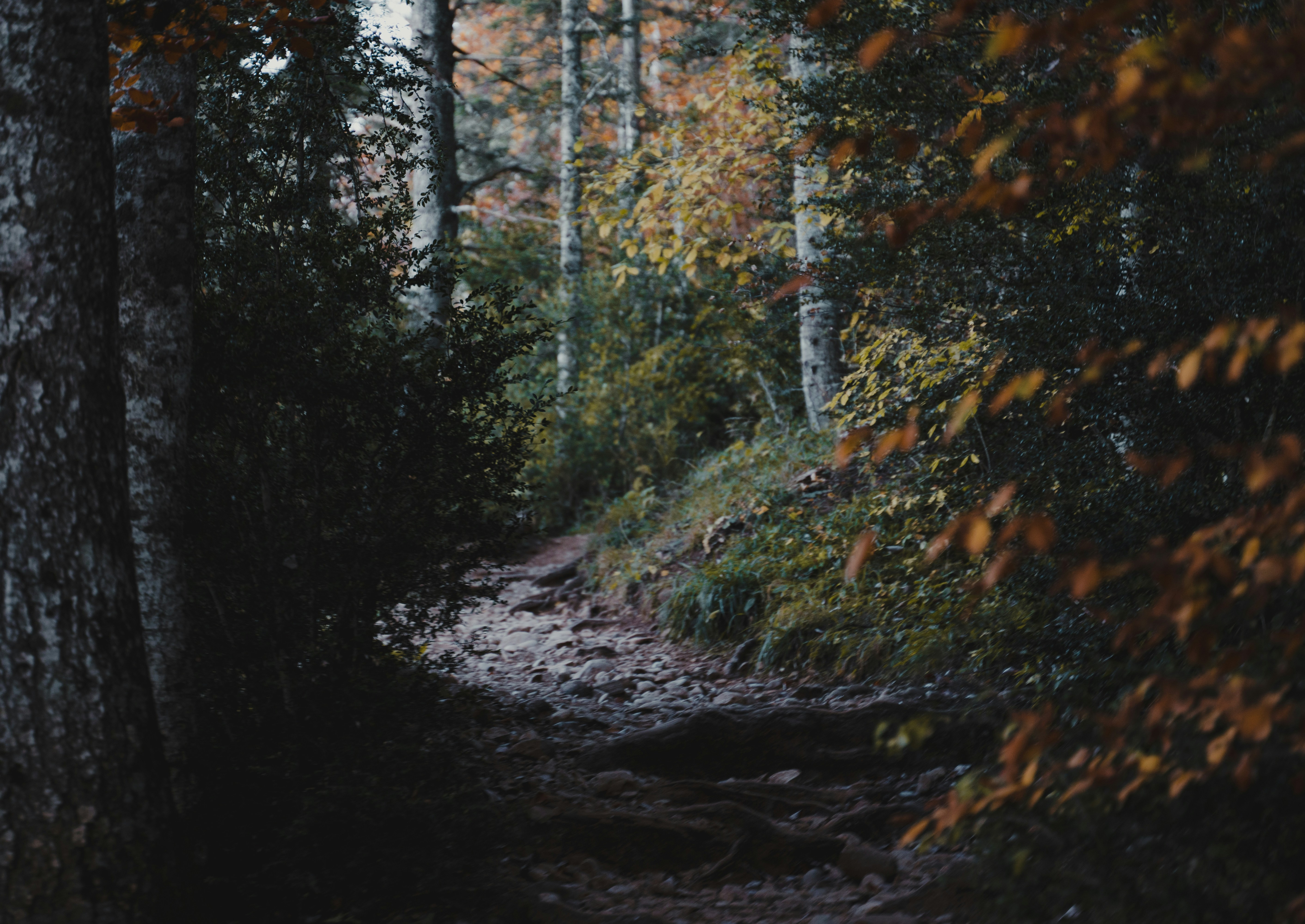 Photo by michielannaert