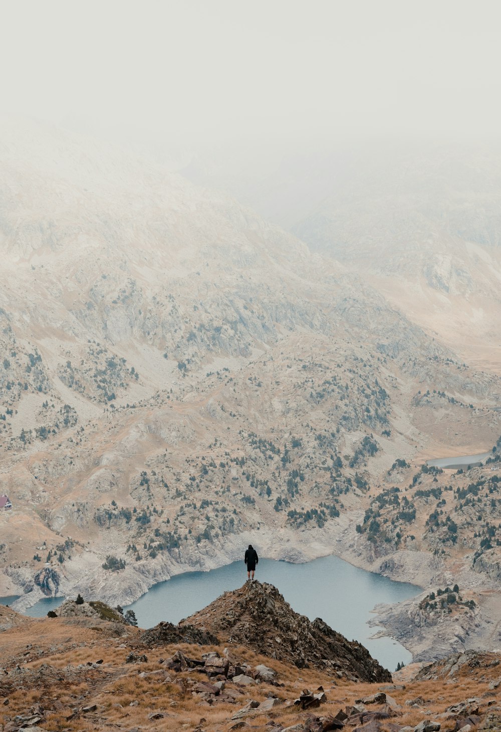 a lone bird standing on top of a mountain