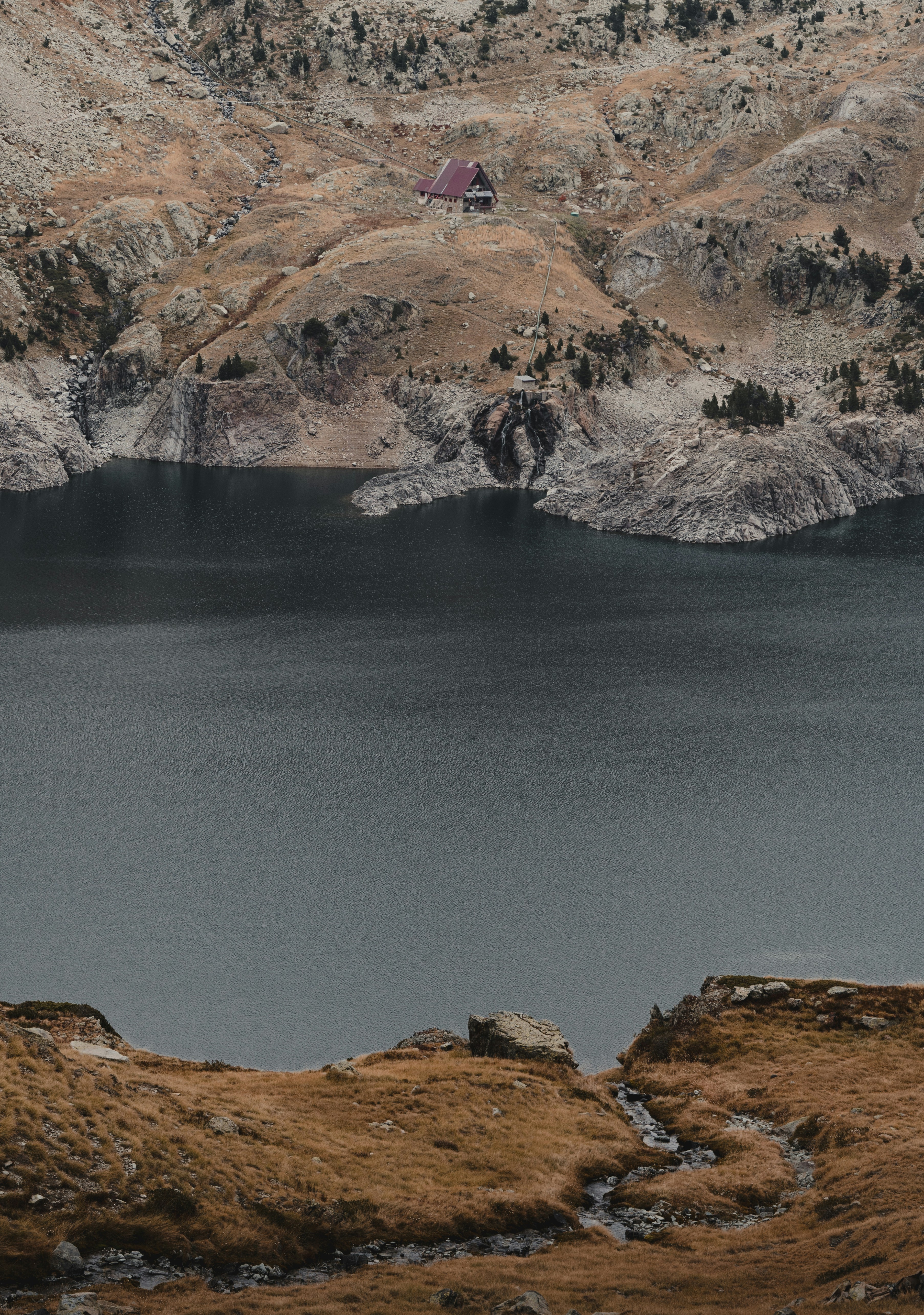 Photo by michielannaert