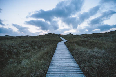 a wooden walkway leading to a grassy hill