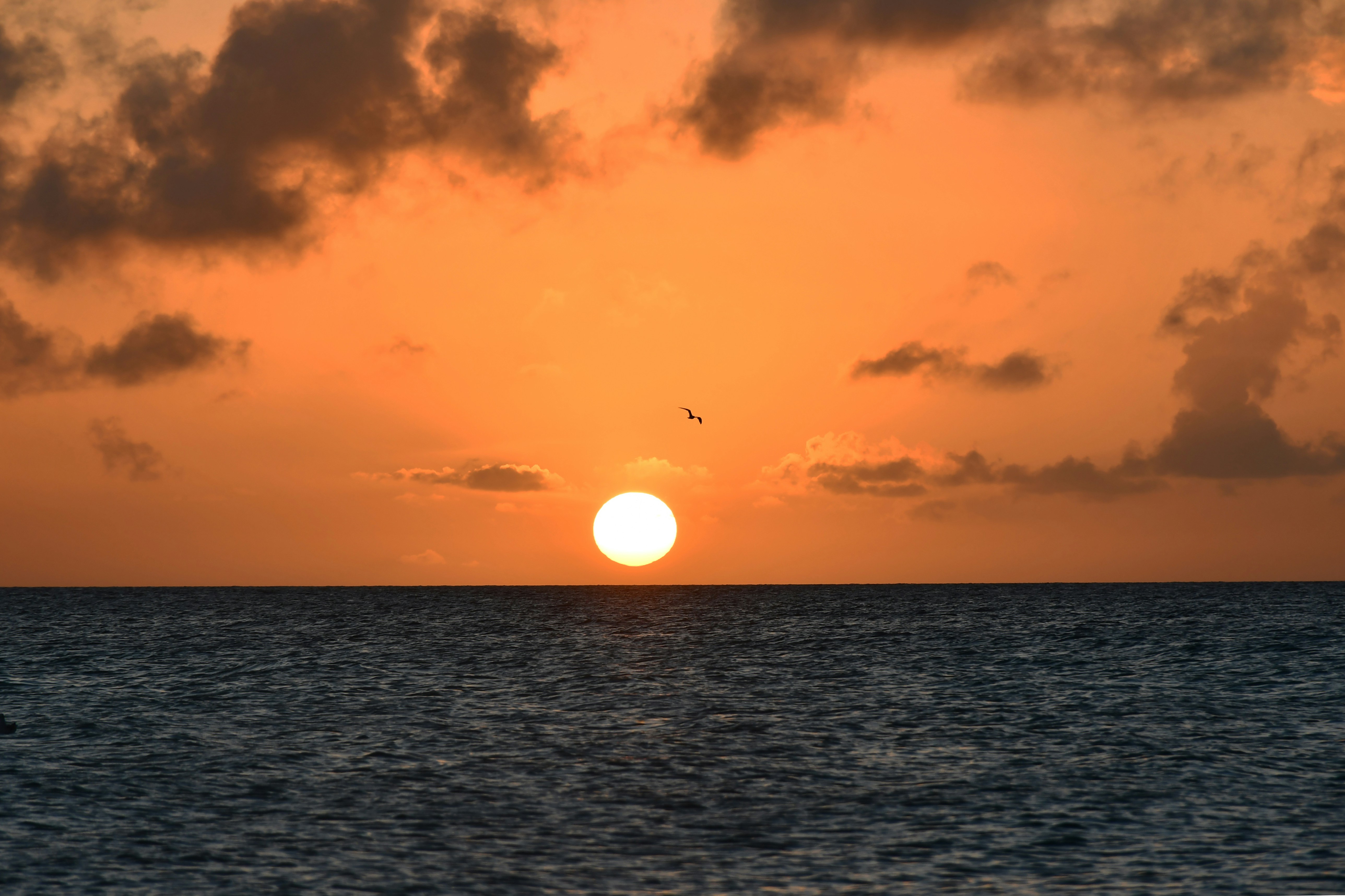 Photo by legallyguaricho