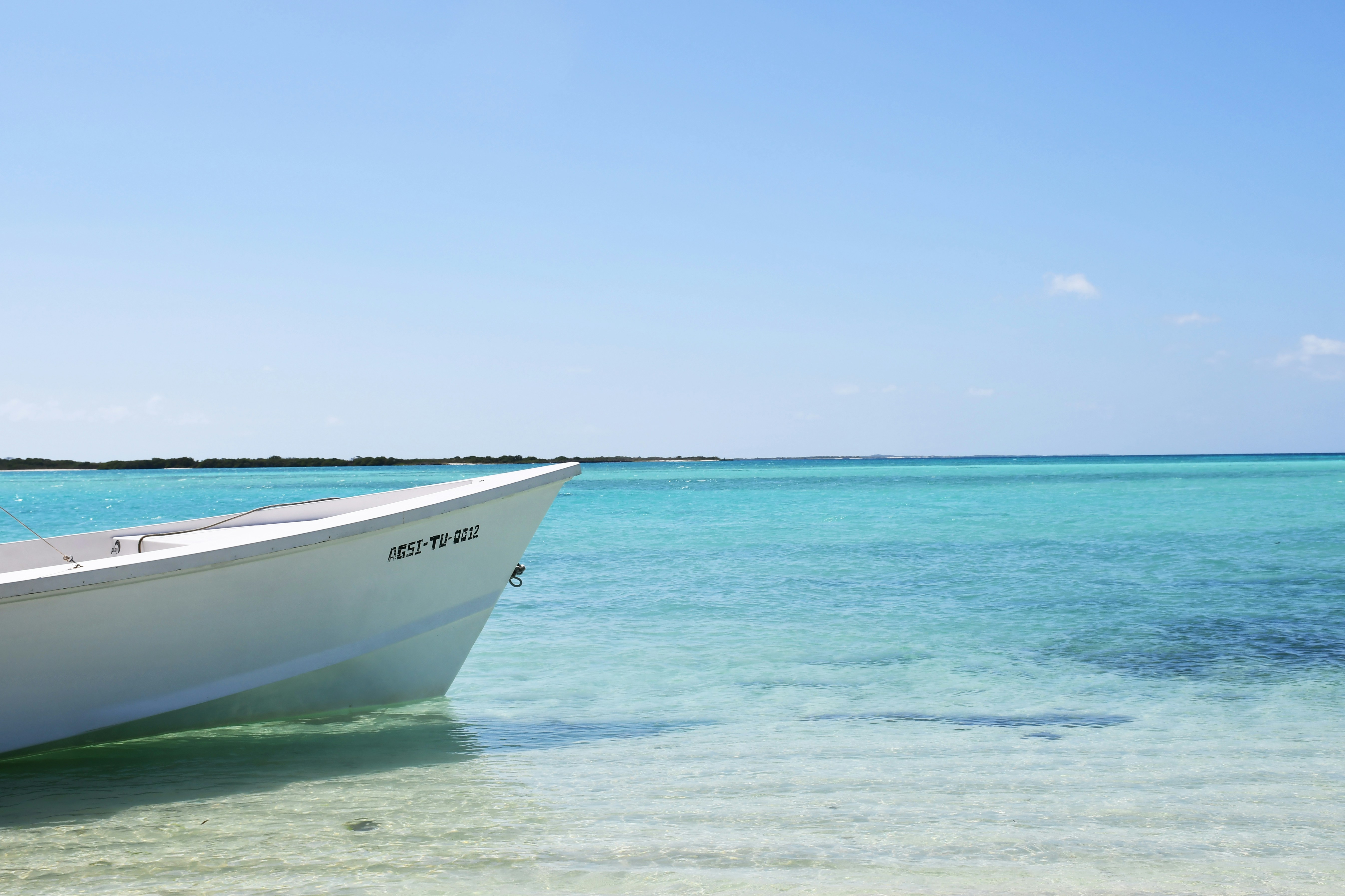 Photo by legallyguaricho