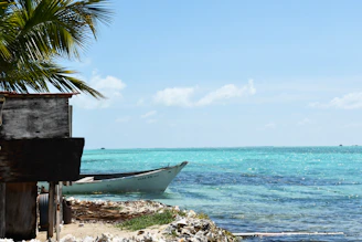 a boat sitting on top of a beach next to the ocean