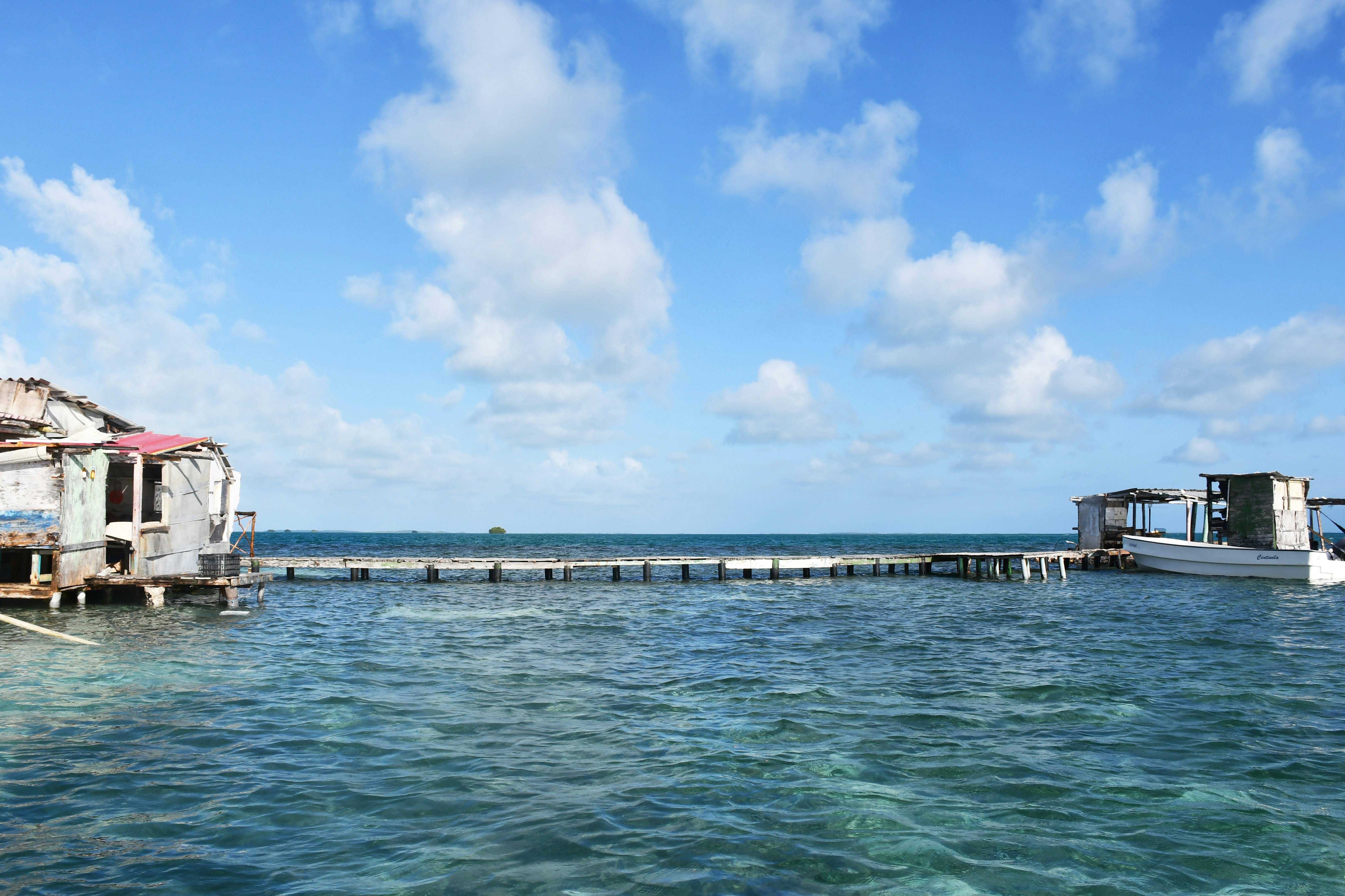 Photo by legallyguaricho