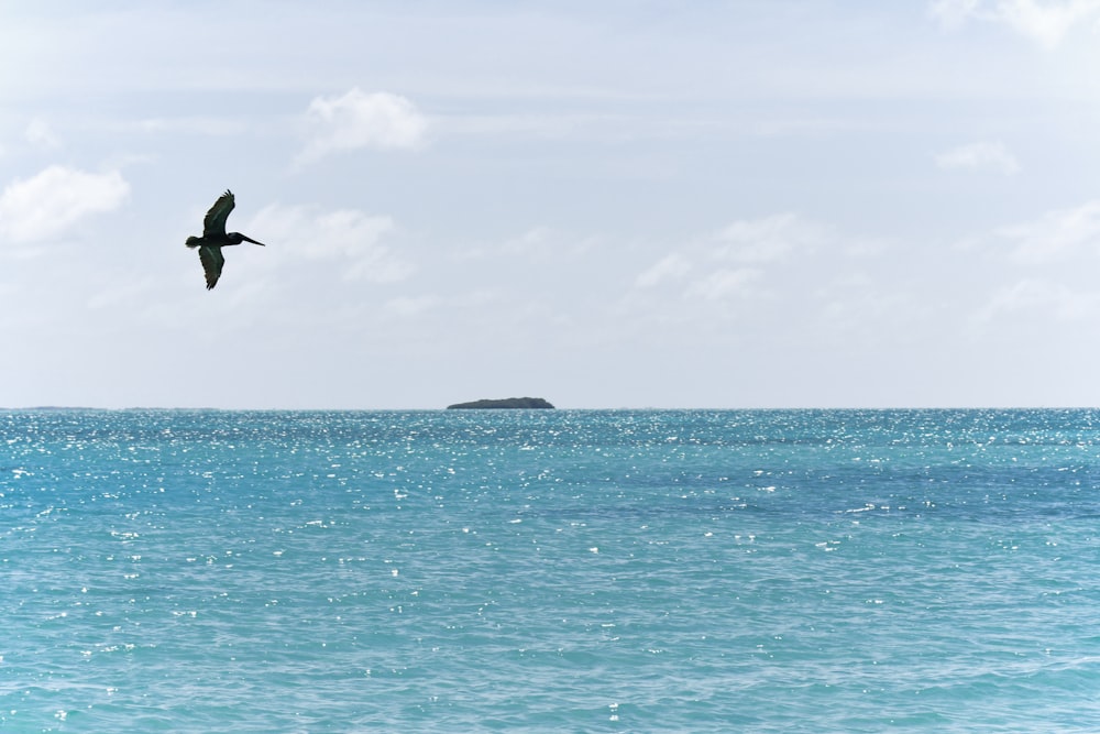 Ein Vogel fliegt über ein Gewässer