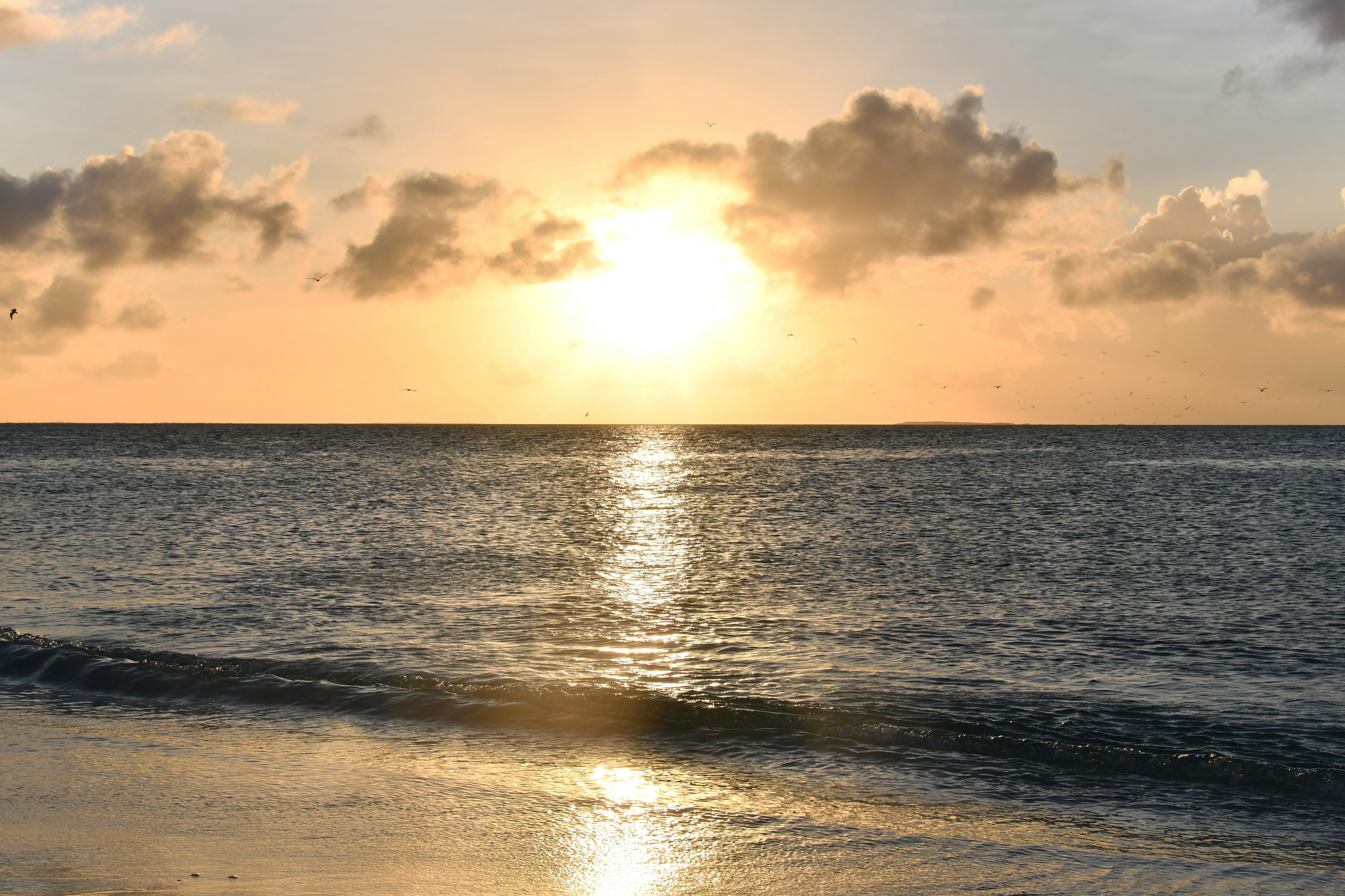 Photo by legallyguaricho