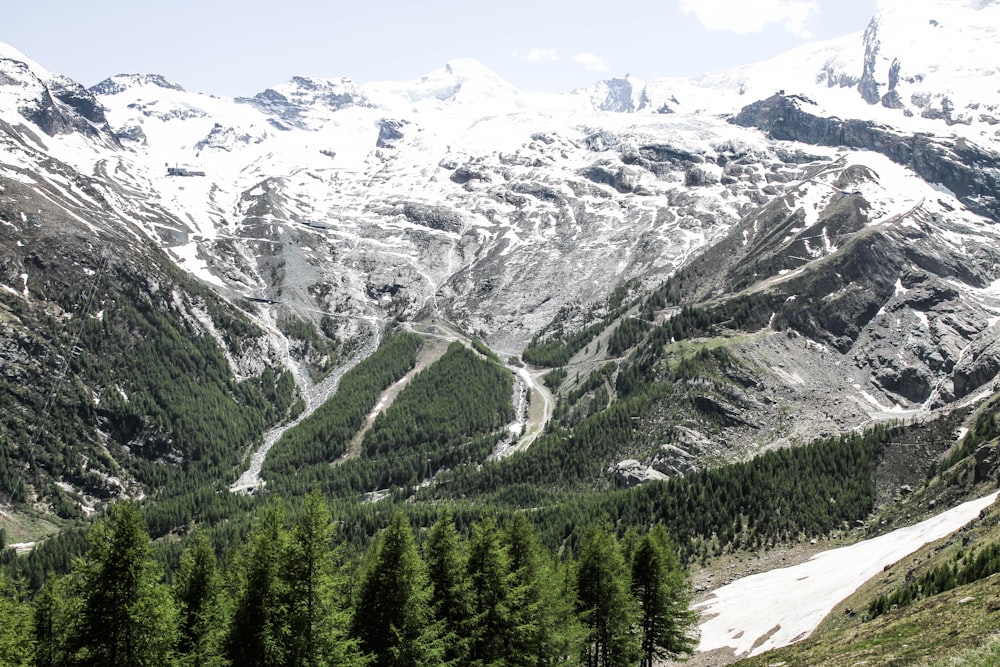 a view of a snowy mountain range with trees in the foreground