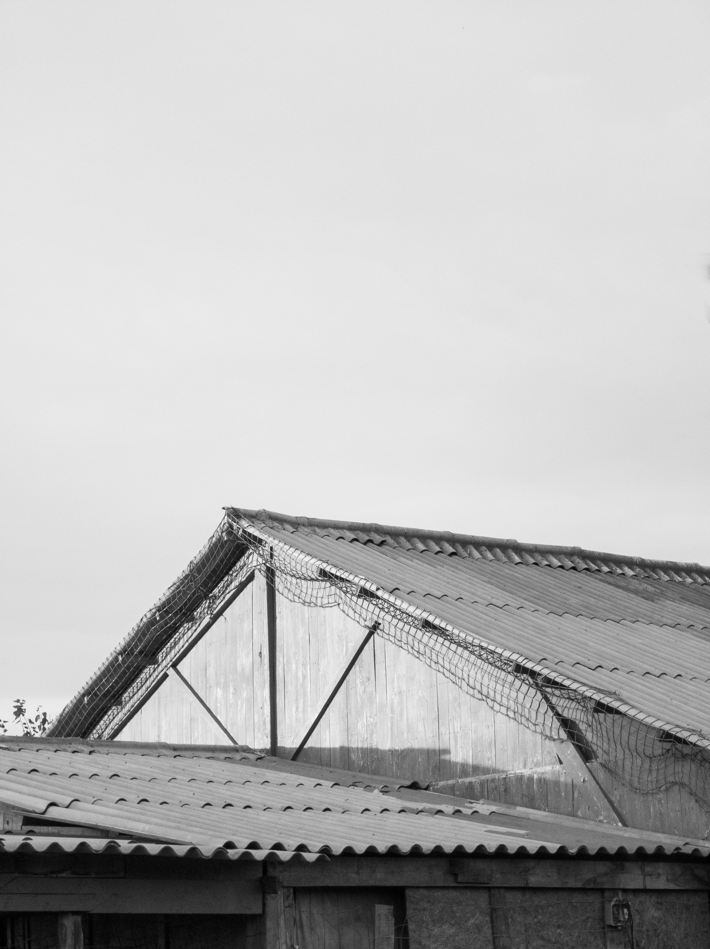 Photo by alaafetouhi