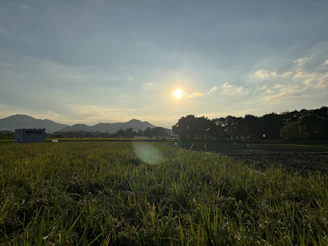 A serene sunset over the lush green hills of Wayanad, with a traditional Kerala house silhouetted in the foreground.
