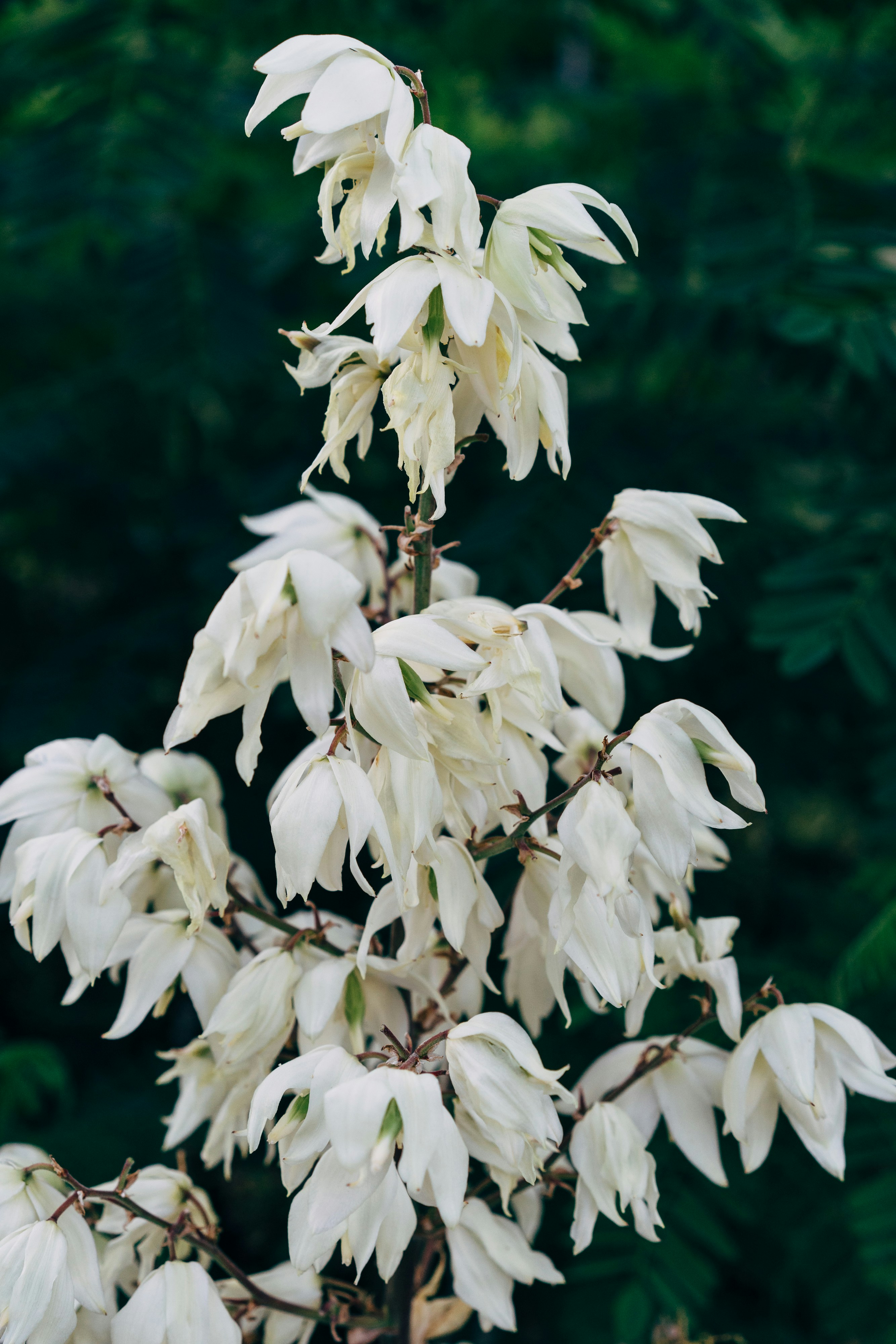 Photo by markuswinkler