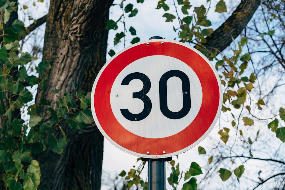 a red and white speed limit sign next to a tree