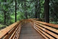 a wooden bridge in the middle of a forest