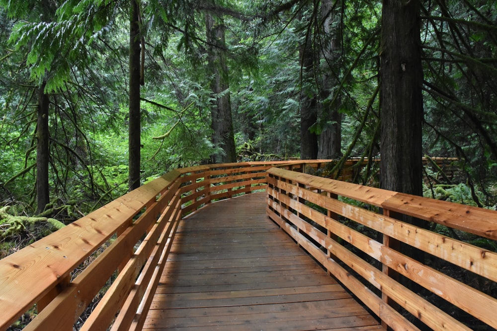a wooden bridge in the middle of a forest