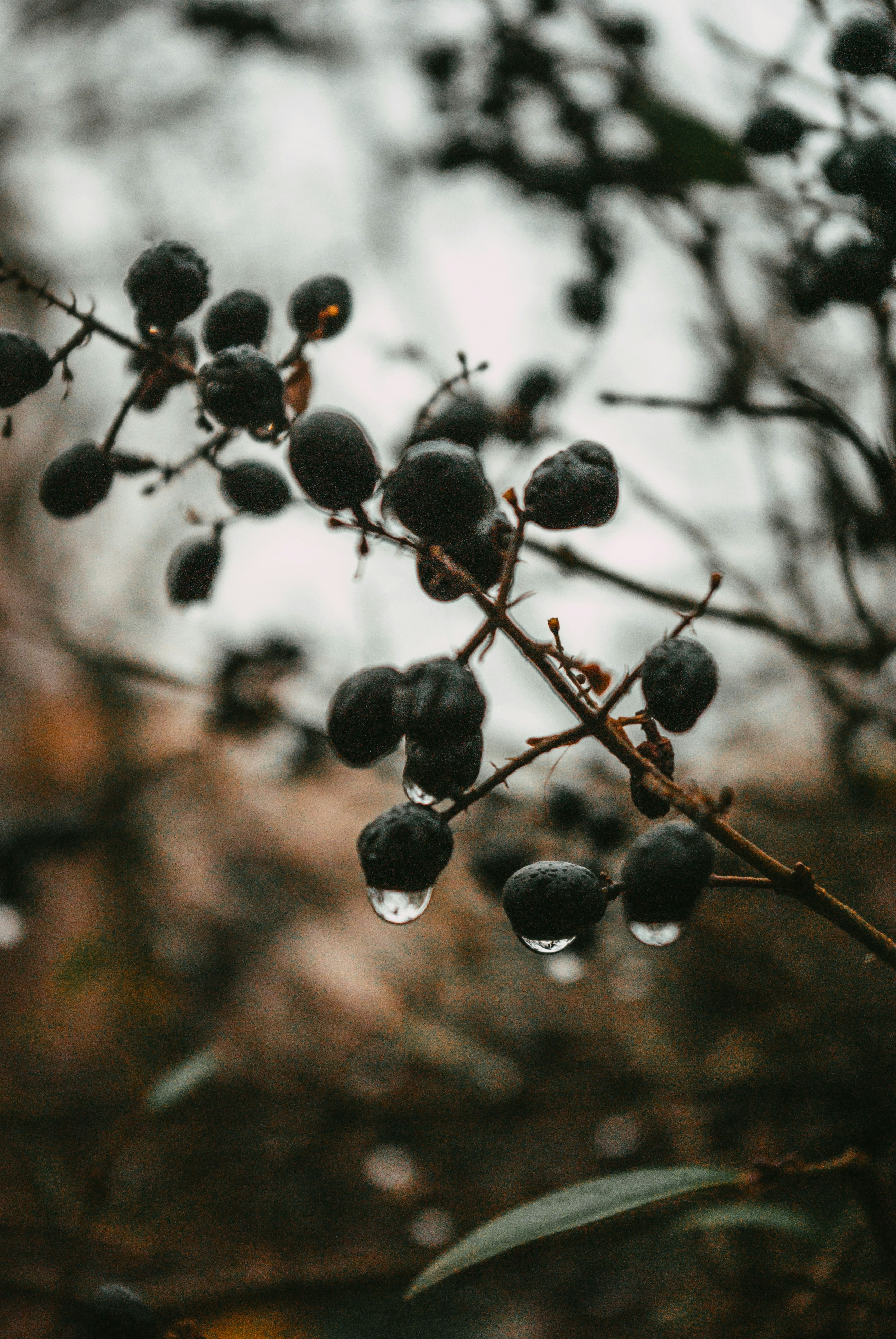 Photo by moonmoons_days