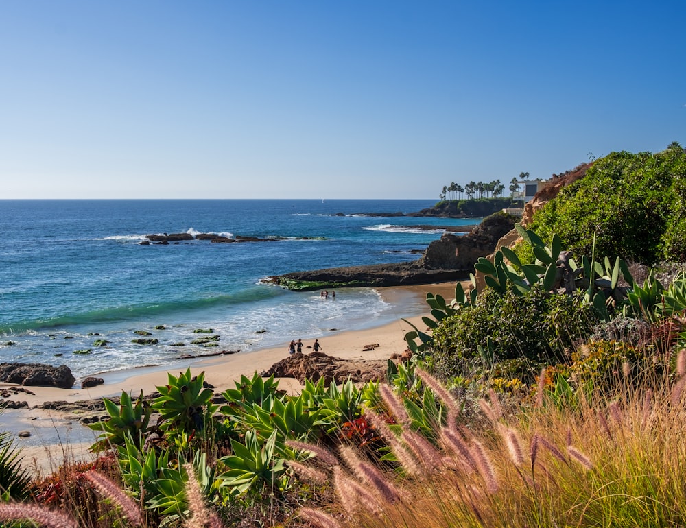 a view of a beach with people walking on it