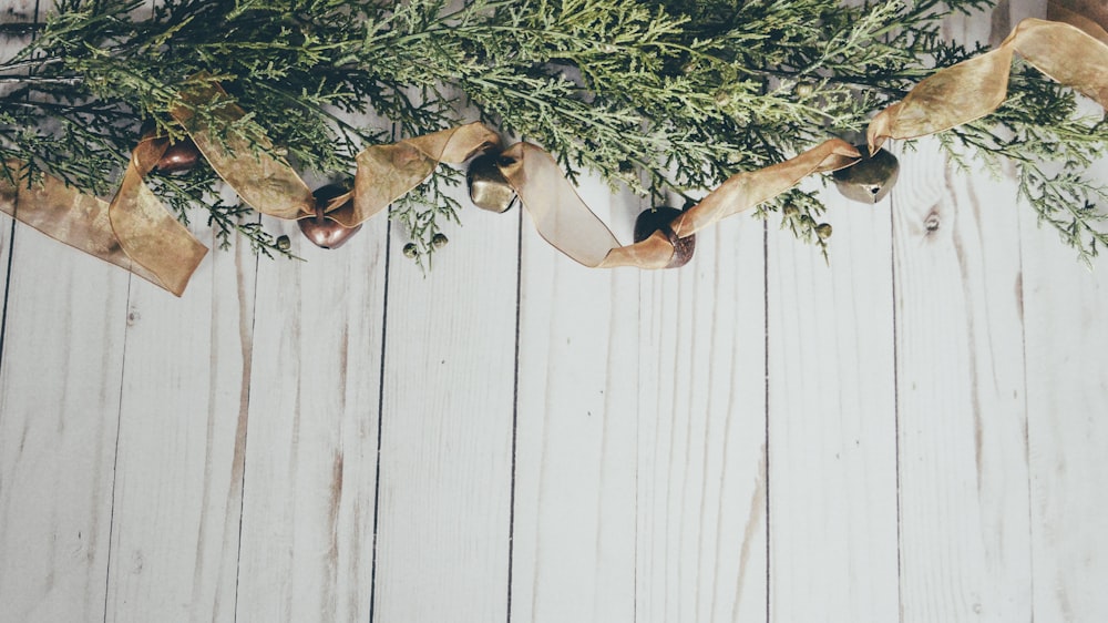 a bunch of greenery hanging on a wall