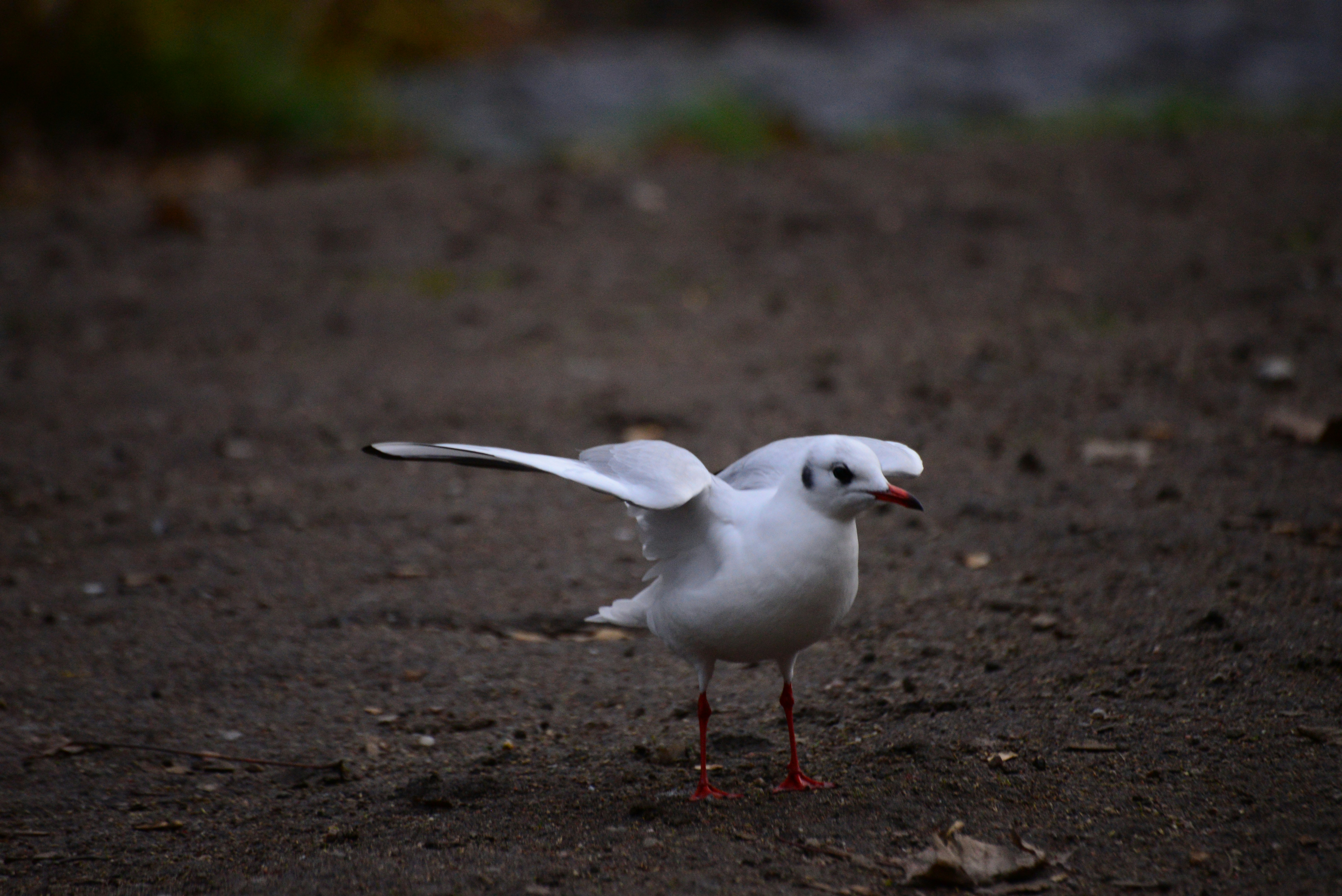 Photo by annarekstad