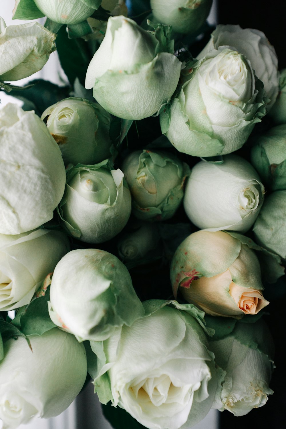 un bouquet de roses blanches posé sur une table