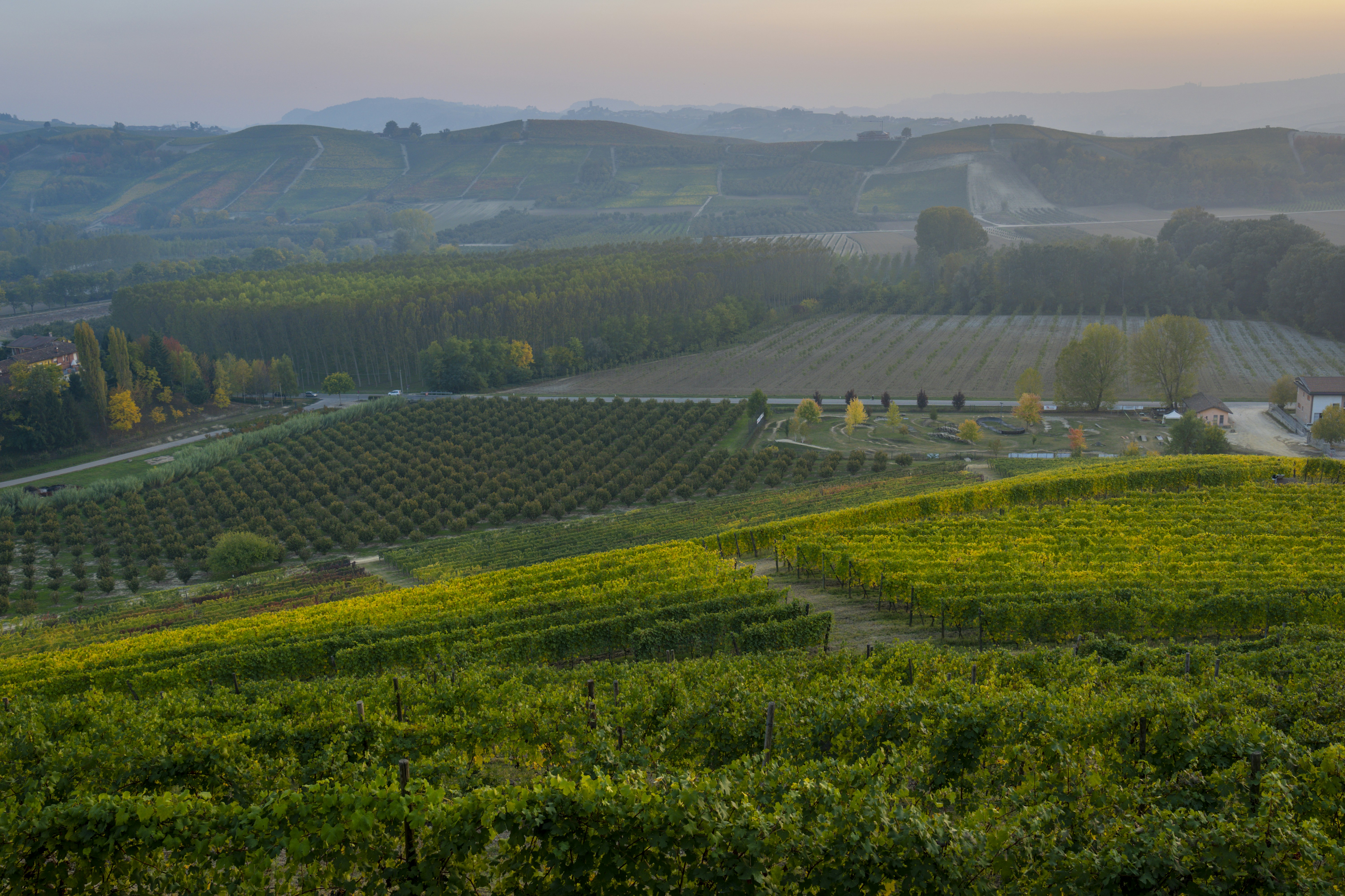 a view of a vineyard in the hills