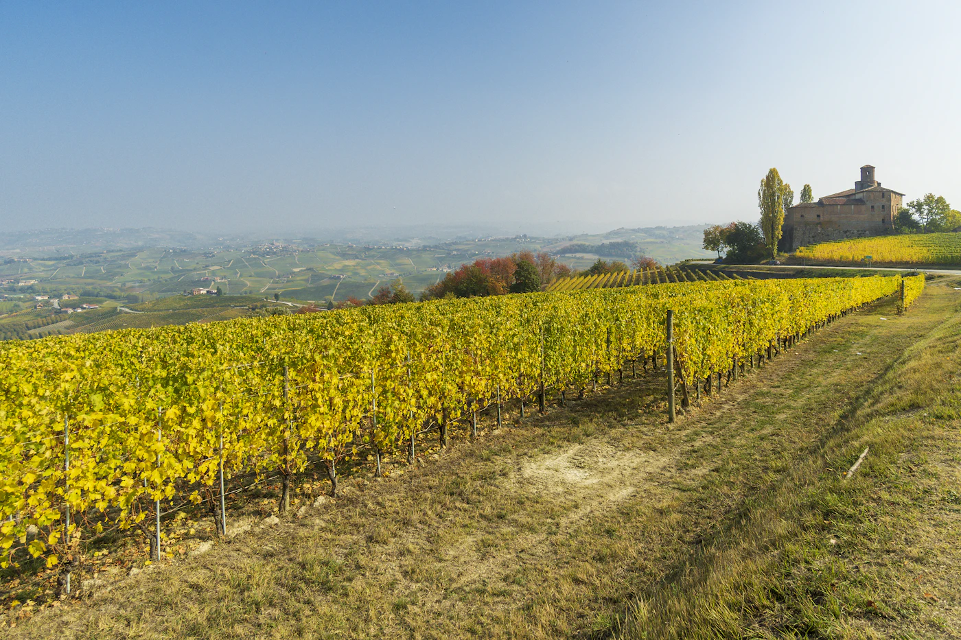 A castle above autumn vineyards in the Langhe