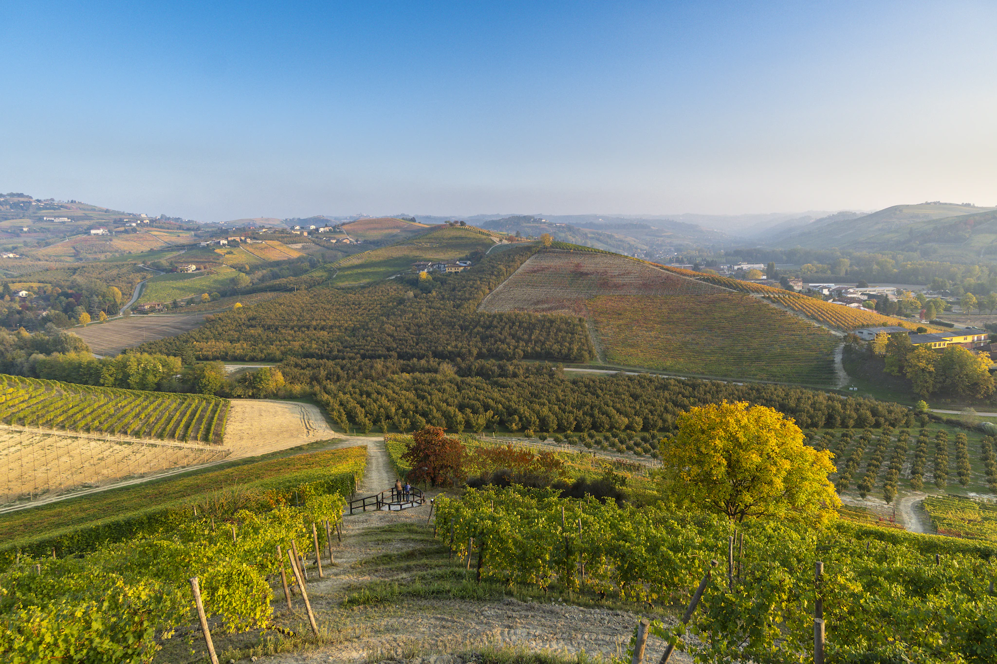 Langhe