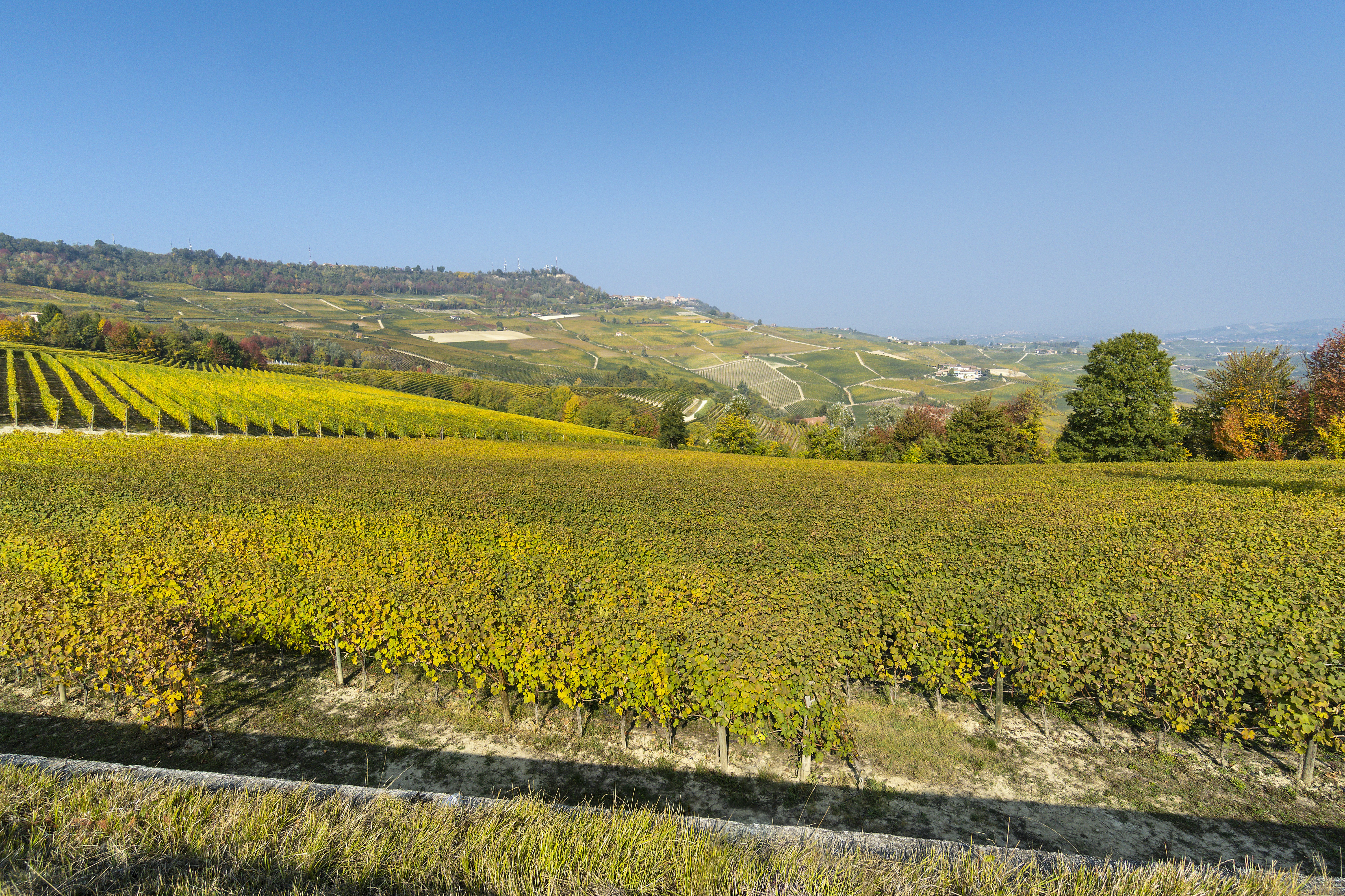a large field of green grass with hills in the background
