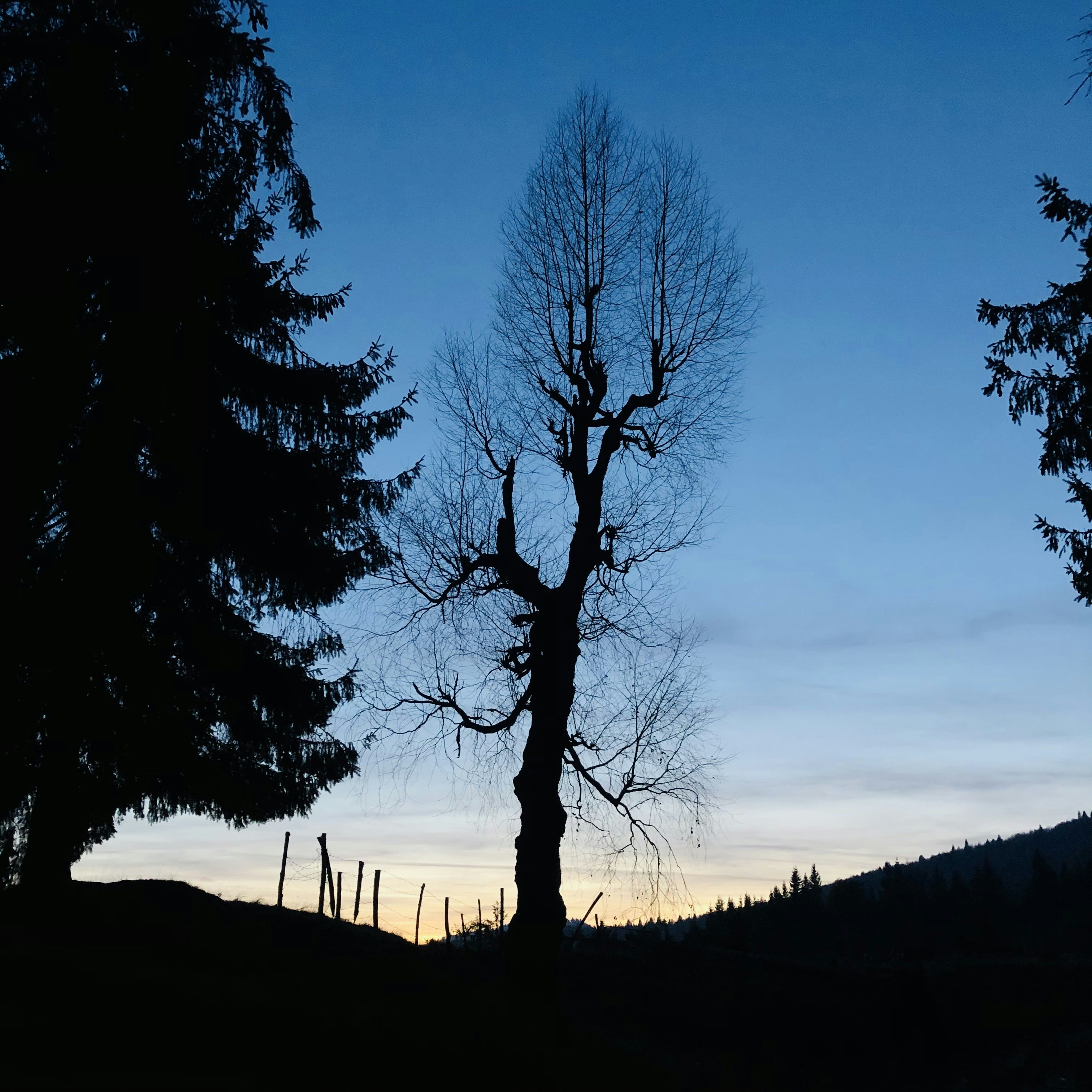 Photo by dasdasha2015